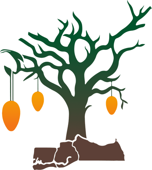 L'arbre Casa Impact — Symbole de vie et d'ancrage territorial